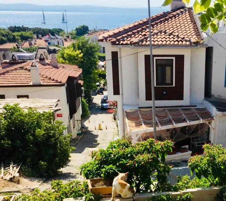 Vapori Otel Τένεδος Εξωτερικό φωτογραφία